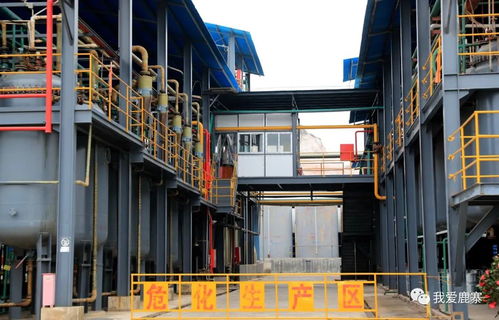 年销售额超10亿元 这家鹿寨企业冲刺上市