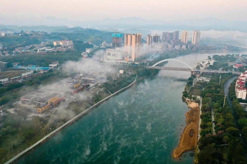 靖西全方位对外开放成效显著 外贸进出口同比增长21%