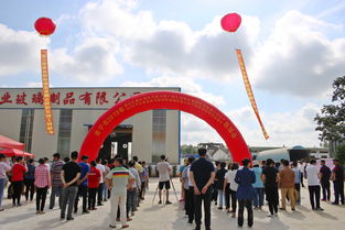 广西三贸竞业玻璃制品项目竣工现场会在坛洛镇召开