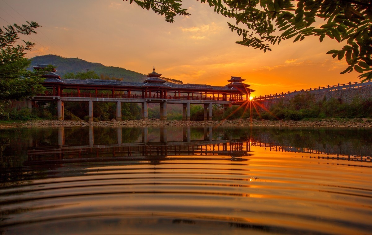 茶旅世界·十大魅力茶乡参评丨广西壮族自治区百色市西林县
