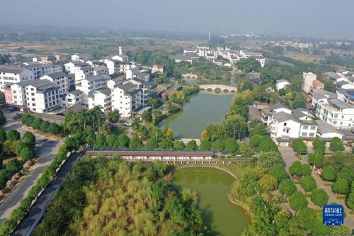 振兴乡村生态美，广西南宁绘就绿色发展新画卷