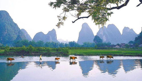 2020网红城市百强榜出炉，广西四城闪耀上榜