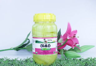 广西靖西梁鹏食品简介